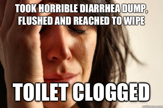 Took horrible diarrhea dump, flushed and reached to wipe Toilet clogged - Took horrible diarrhea dump, flushed and reached to wipe Toilet clogged  First World Problems