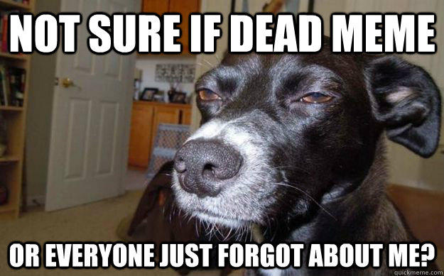 Not sure if dead meme or everyone just forgot about me?  Skeptical Mutt