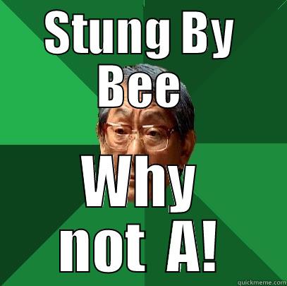 STUNG BY BEE WHY NOT  A! High Expectations Asian Father