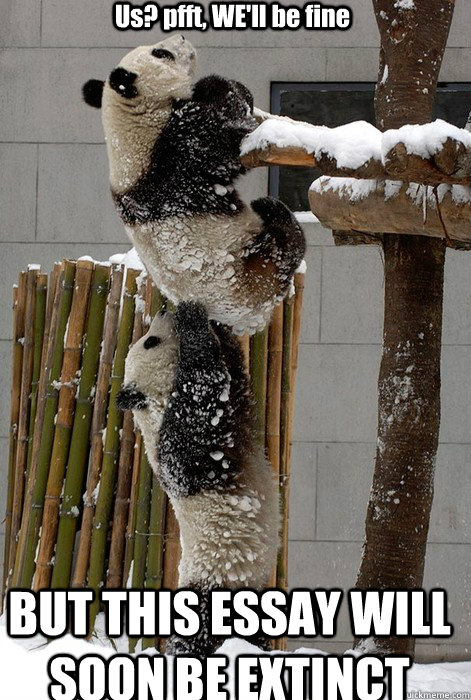 BUT THIS ESSAY WILL SOON BE EXTINCT Us? pfft, WE'll be fine - BUT THIS ESSAY WILL SOON BE EXTINCT Us? pfft, WE'll be fine  Red Pandas