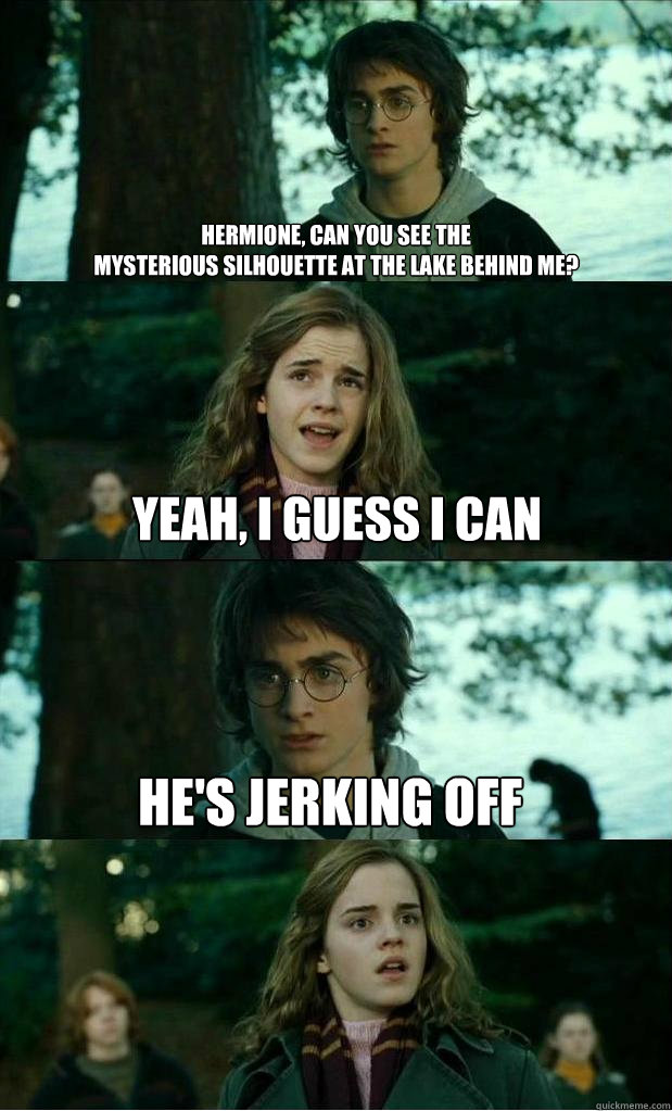 HERMIONE, CAN YOU SEE THE 
MYSTERIOUS Silhouette AT THE LAKE BEHIND ME? YEAH, I GUESS I CAN HE'S JERKING OFF  Horny Harry