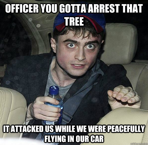 Officer you gotta arrest that tree It attacked us while we were peacefully flying in our car - Officer you gotta arrest that tree It attacked us while we were peacefully flying in our car  Arrest that tree!