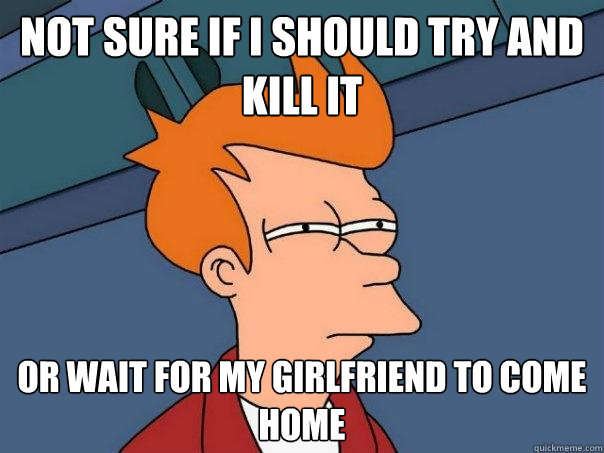 Not sure if I should try and kill it Or wait for my girlfriend to come home  Futurama Fry