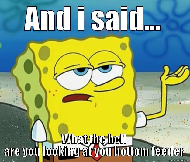 AND I SAID... WHAT THE HELL ARE YOU LOOKING AT YOU BOTTOM FEEDER Tough Spongebob