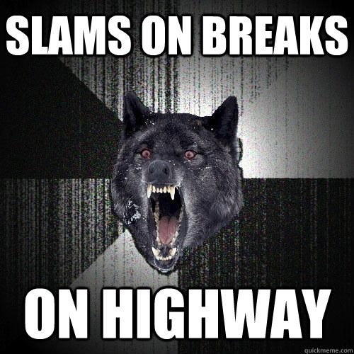 slams on breaks on highway  Insanity Wolf