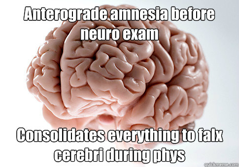 Anterograde amnesia before neuro exam Consolidates everything to falx cerebri during phys  - Anterograde amnesia before neuro exam Consolidates everything to falx cerebri during phys   Scumbag Brain