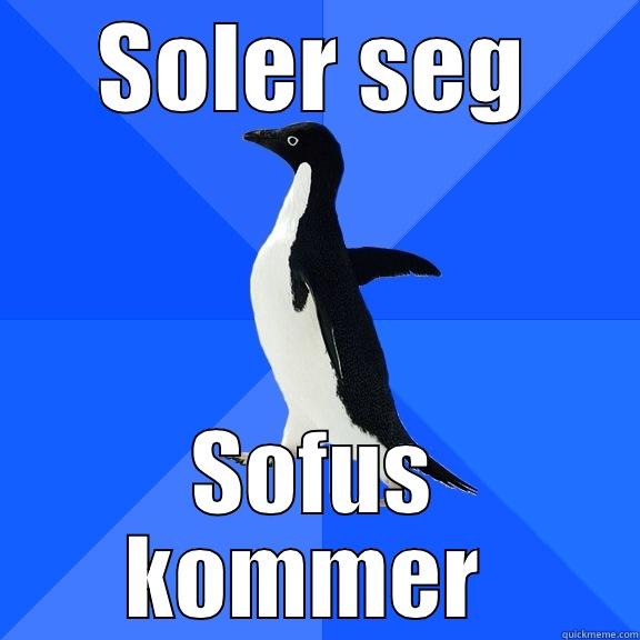 SOLER SEG SOFUS KOMMER  Socially Awkward Penguin