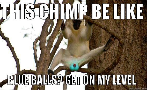 THIS CHIMP BE LIKE  BLUE BALLS? GET ON MY LEVEL  Misc