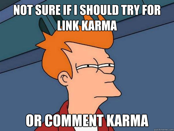 Not sure if I should try for link karma or comment karma  Futurama Fry