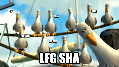 Sha LFG SHA LFG SHA Sha Sha LFG SHA  Finding Nemo Seagulls