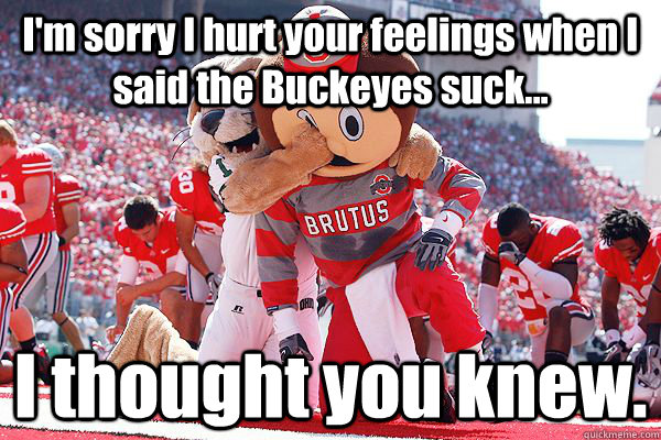 I'm sorry I hurt your feelings when I said the Buckeyes suck... I thought you knew. - I'm sorry I hurt your feelings when I said the Buckeyes suck... I thought you knew.  Buckeyes Suck!