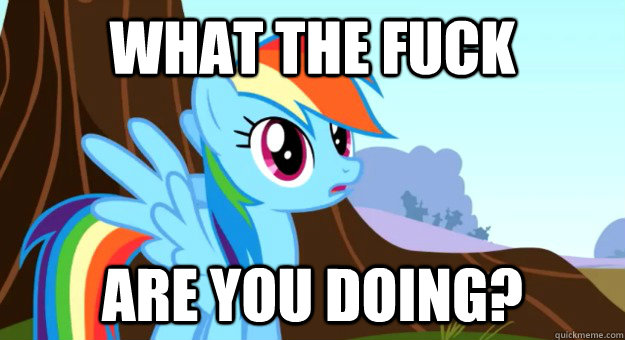 What the fuck Are you doing?  Rainbow Dash