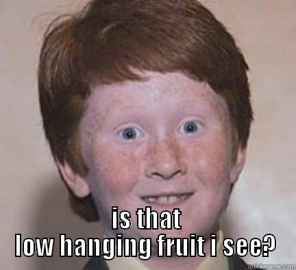 Low hanging fruit -  IS THAT LOW HANGING FRUIT I SEE? Over Confident Ginger