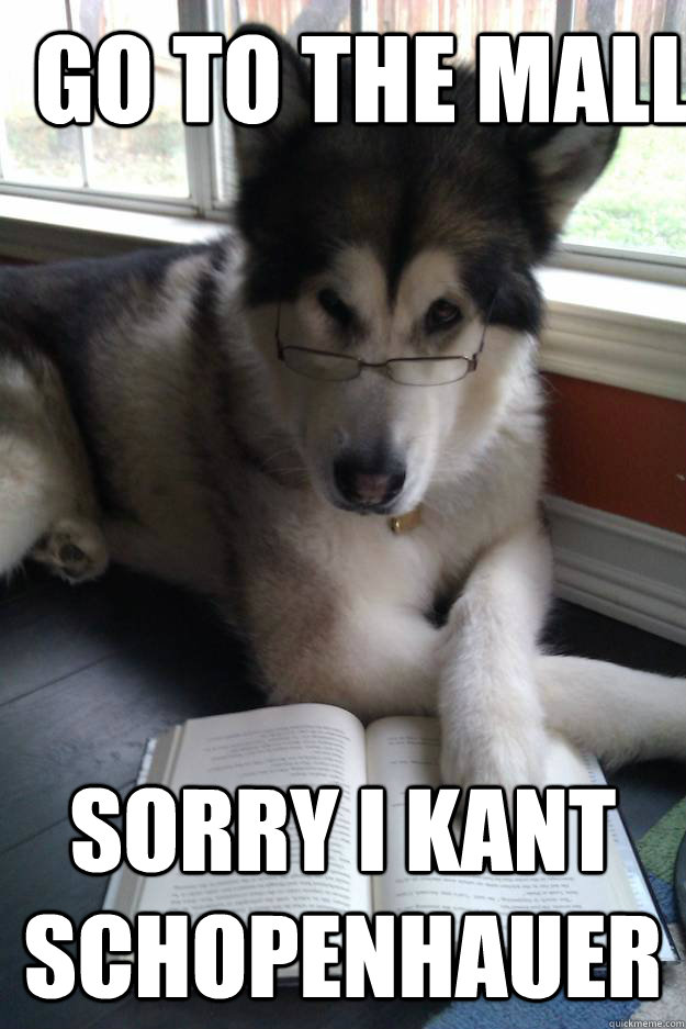 Go to the mall Sorry I Kant Schopenhauer  Condescending Literary Pun Dog