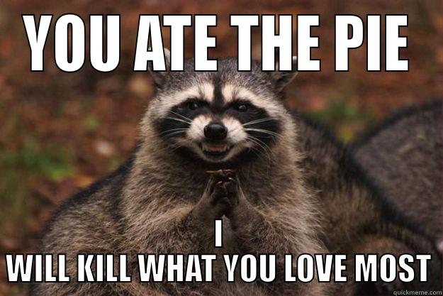 YOU ATE THE PIE I WILL KILL WHAT YOU LOVE MOST Evil Plotting Raccoon