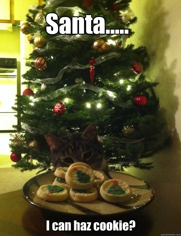 Santa..... I can haz cookie? - Santa..... I can haz cookie?  Misc