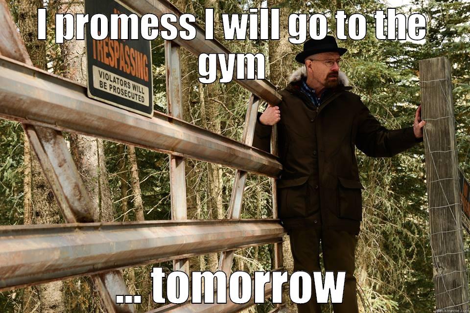 I PROMISE I WILL GO TO THE GYM ... TOMORROW Misc