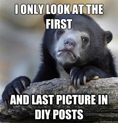 I only look at the first and last picture in diy posts  Confession Bear