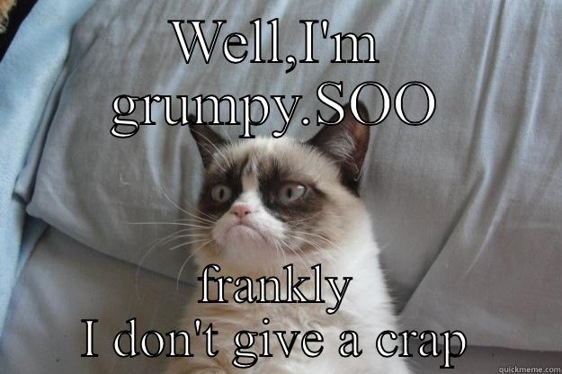 WELL,I'M GRUMPY.SOO FRANKLY I DON'T GIVE A CRAP Grumpy Cat