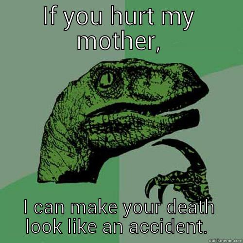 Hurt my... - IF YOU HURT MY MOTHER, I CAN MAKE YOUR DEATH LOOK LIKE AN ACCIDENT.  Philosoraptor