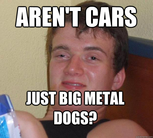 aren't cars just big metal dogs?  10 Guy