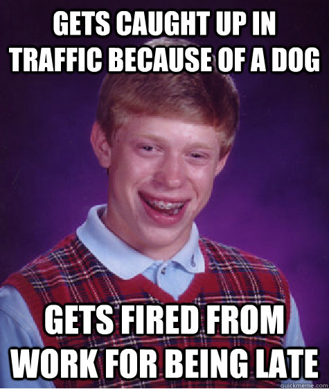 Gets caught up in traffic because of a dog gets fired from work for being late - Gets caught up in traffic because of a dog gets fired from work for being late  Bad Luck Brian