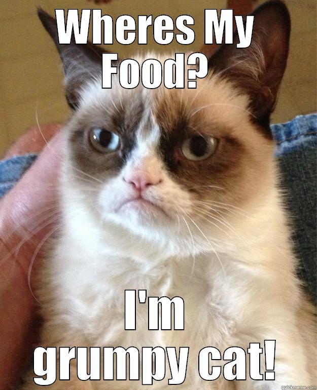 WHERES MY FOOD? I'M GRUMPY CAT! Misc