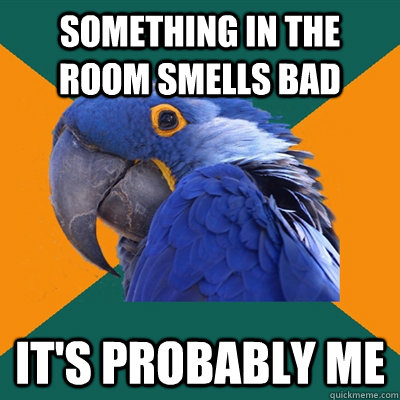 Something in the room smells bad it's probably me - Something in the room smells bad it's probably me  Paranoid Parrot