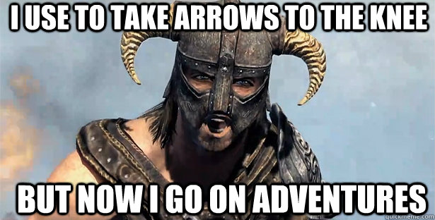 I use to take arrows to the knee but now I go on adventures  skyrim