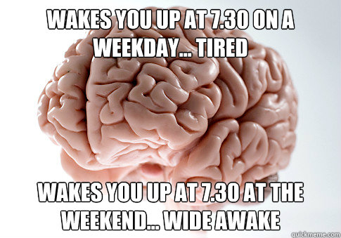 Wakes you up at 7.30 on a weekday... Tired Wakes you up at 7.30 at the weekend... Wide awake  Scumbag Brain