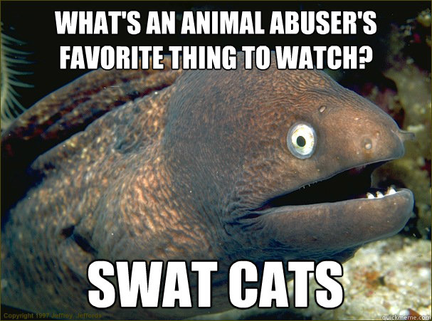 what's an animal abuser's favorite thing to watch? swat cats  Bad Joke Eel