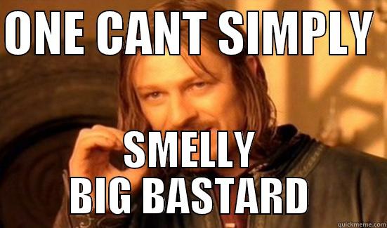 ONE CANT SIMPLY  SMELLY BIG BASTARD Boromir