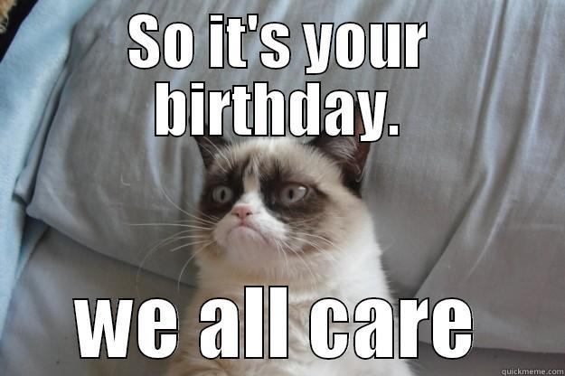 SO IT'S YOUR BIRTHDAY. WE ALL CARE Grumpy Cat