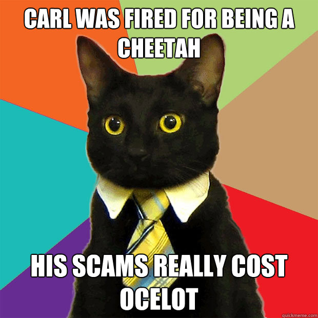 carl was fired for being a cheetah his scams really cost ocelot  Business Cat