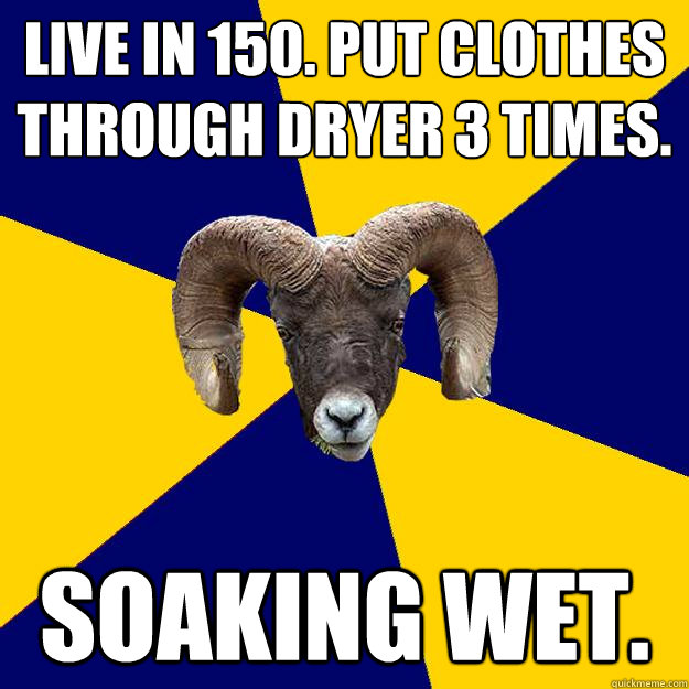 Live in 150. Put clothes through dryer 3 times. Soaking wet. - Live in 150. Put clothes through dryer 3 times. Soaking wet.  Suffolk Kid Ram