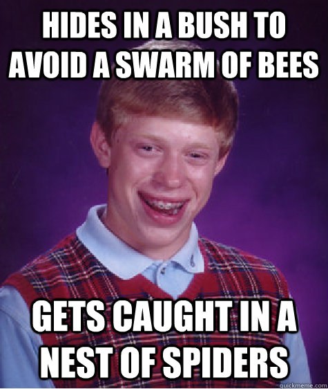 Hides in a bush to avoid a swarm of bees gets caught in a nest of spiders  Bad Luck Brian