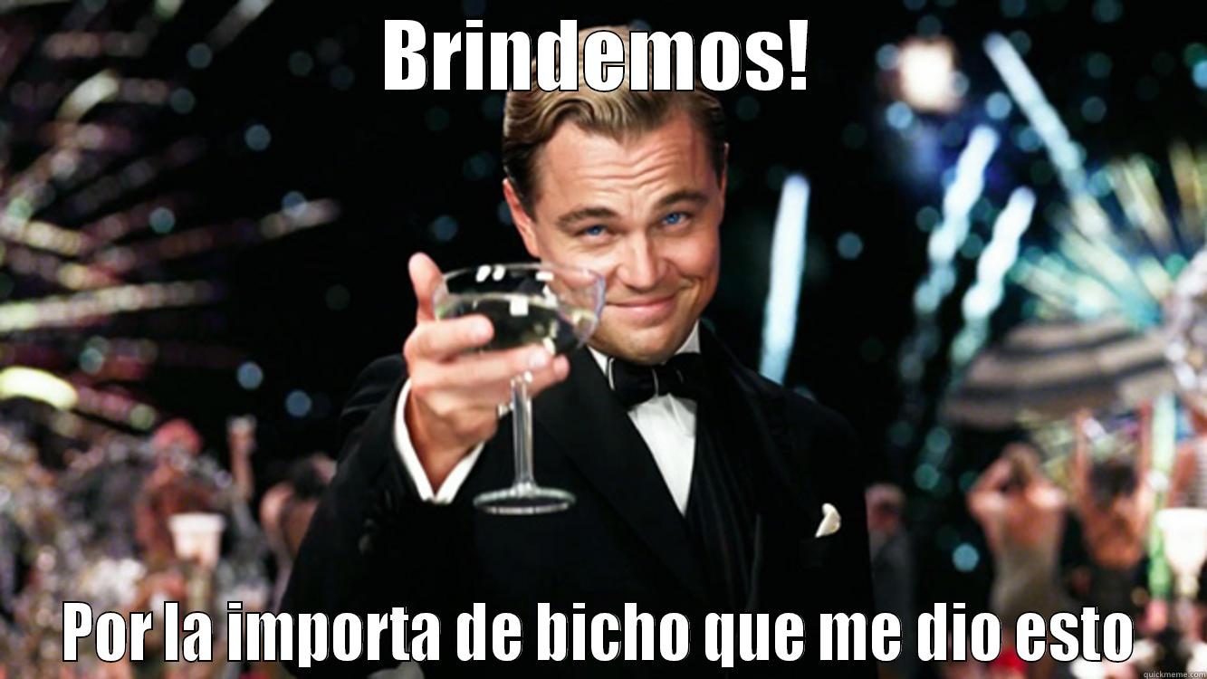 DiCaprio Meme - BRINDEMOS! POR LA IMPORTA DE BICHO QUE ME DIO ESTO Misc