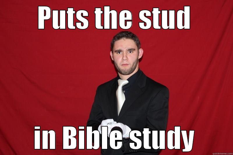 because title - PUTS THE STUD IN BIBLE STUDY Misc