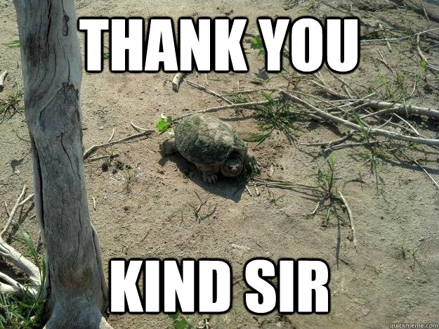 Thank you  Kind sir  Appreciative Turtle