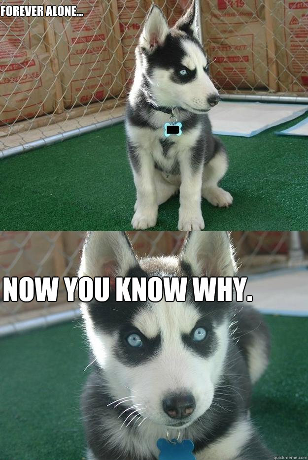 Forever alone...
 now you know why.  Insanity puppy