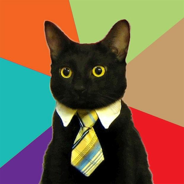   Business Cat