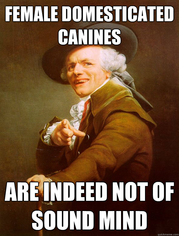 Female domesticated canines are indeed not of sound mind  Joseph Ducreux