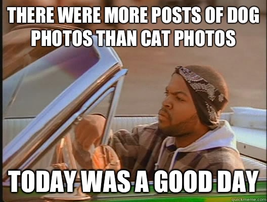 There were more posts of dog photos than cat photos Today was a good day  today was a good day