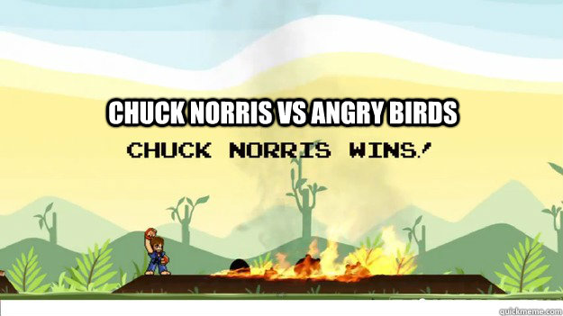 Chuck Norris VS Angry Birds  