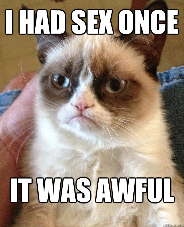 I had sex once it was awful  Grumpy Cat