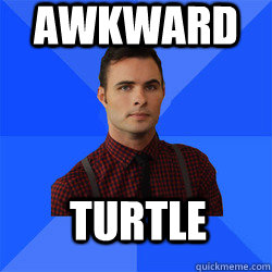 Awkward Turtle  Socially Awkward Darcy