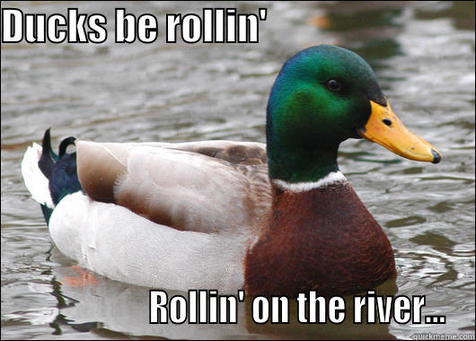 Ducks just keep on rollin' - DUCKS BE ROLLIN'                                                ROLLIN' ON THE RIVER... Actual Advice Mallard