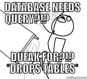 Flipping Databases - DATABASE NEEDS QUERY?!?                DUFAK FOR?!? *DROPS TABLES* Misc