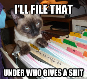 I'll FIle that Under who gives a shit  Filing Cat