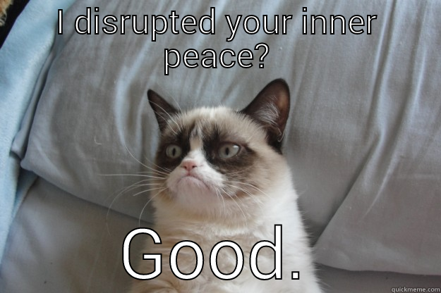 I DISRUPTED YOUR INNER PEACE? GOOD. Grumpy Cat